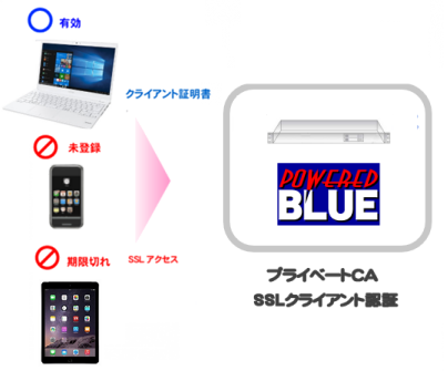 Powered BLUE Private CA