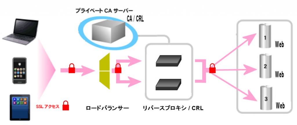 https://www.mubit.co.jp/pb-blog/wp-content/uploads/2015/12/LB-63-ssl-1024x431.png