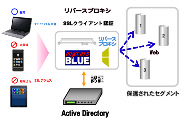 https://www.mubit.co.jp/pb-blog/wp-content/uploads/2020/08/ad-ssl-rev-2.png