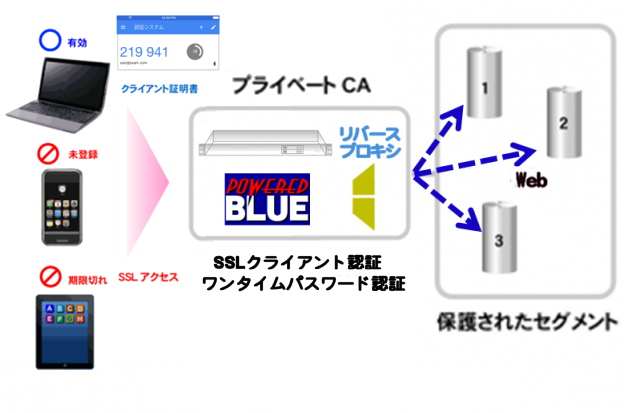 https://www.mubit.co.jp/pb-blog/wp-content/uploads/2020/09/web-ssl-otp-rev-1.png