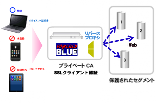 https://www.mubit.co.jp/pb-blog/wp-content/uploads/2020/09/web-ssl-rev-1.png