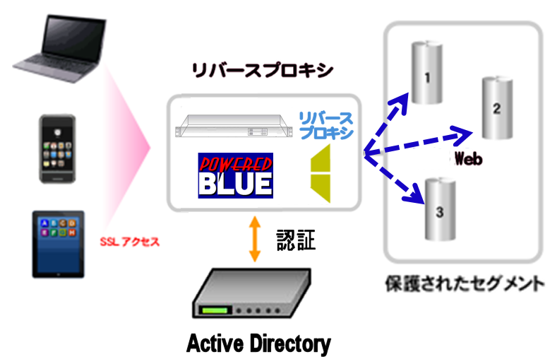 https://www.mubit.co.jp/sub/products/blue/img2/ad-auth-rev-1.png