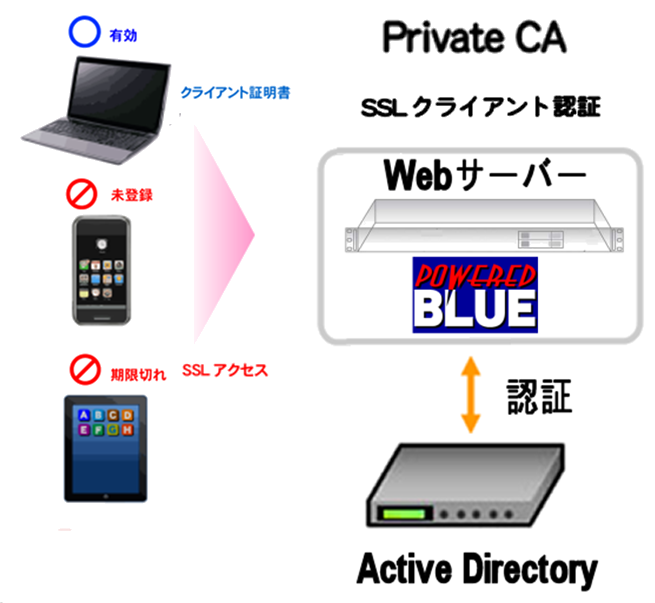 https://www.mubit.co.jp/sub/products/blue/img2/ad-ssl-1.png