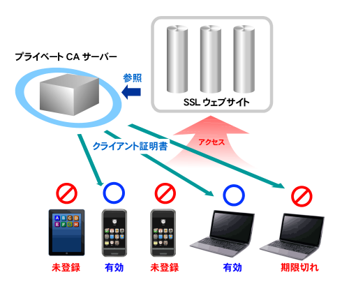 https://www.mubit.co.jp/sub/products/ca/img2/ca-01.png