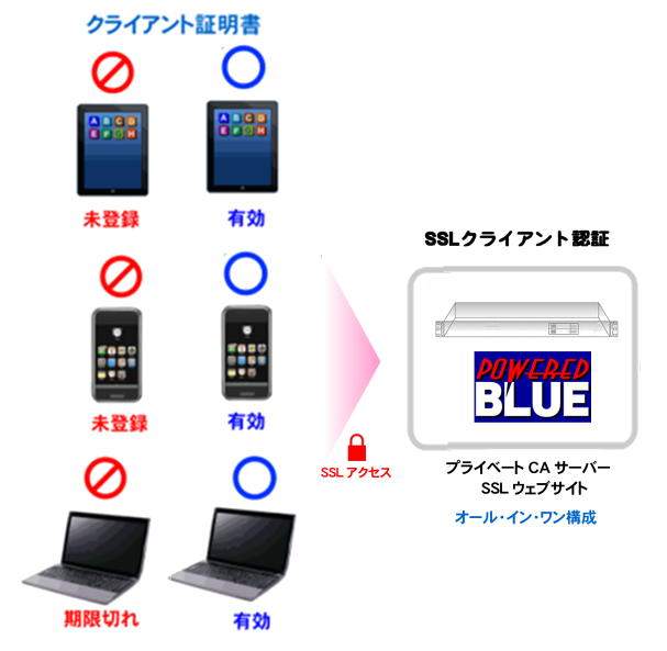 https://www.mubit.co.jp/sub/products/ca/img2/ca-ssl-allinone3.png