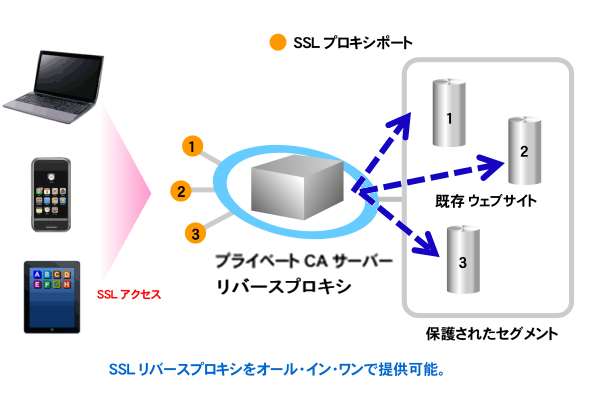 高機能グループウェアｎｉコラボスマートでのsslクライアント認証 ムービットのブログ